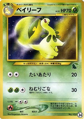 ベイリーフ
