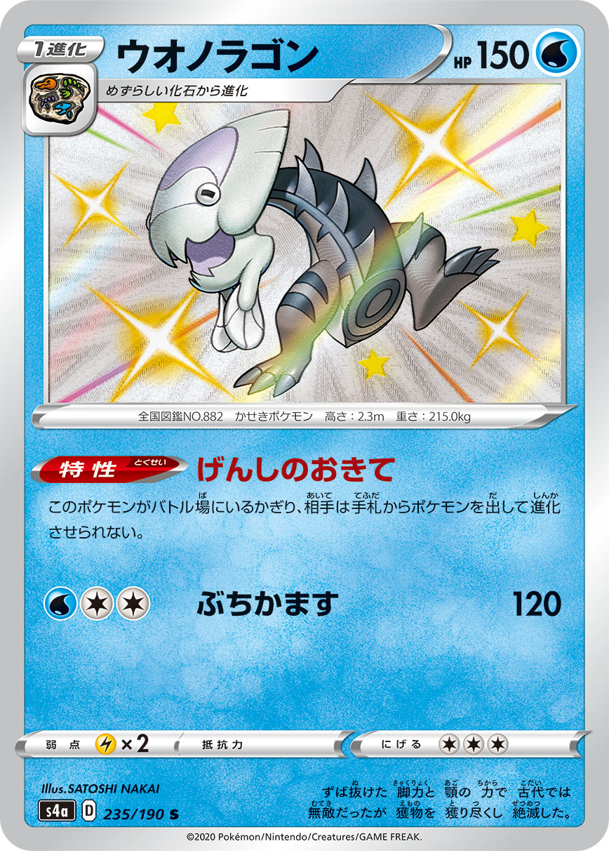 鳃鱼龙