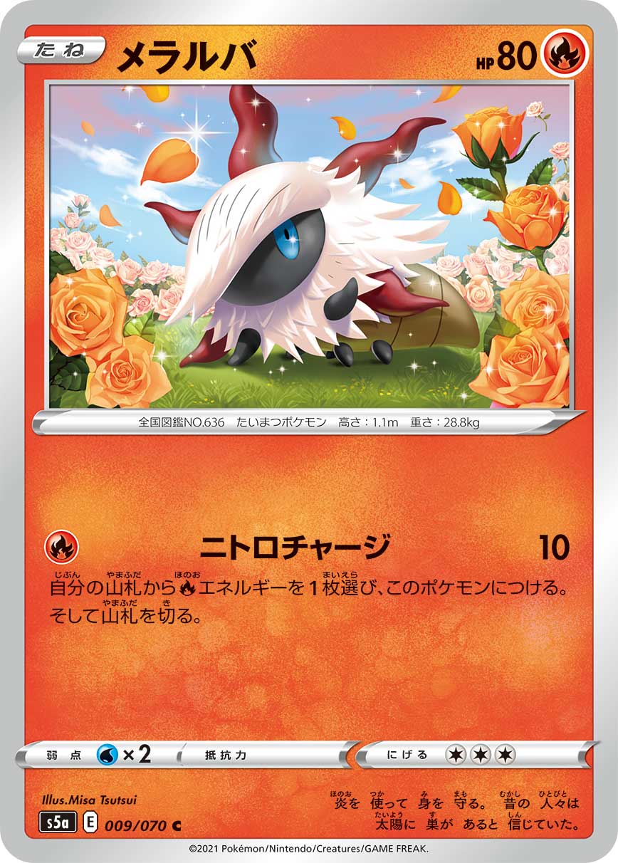 燃烧虫