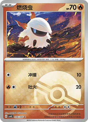 燃烧虫