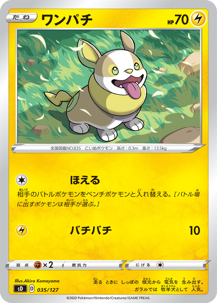 来电汪